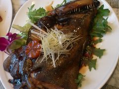 煮碟鱼头-自由之丘