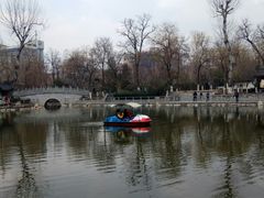 -莲湖公园