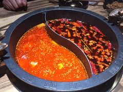 -销魂美蛙鱼头火锅(上海首店)