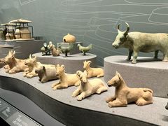 -广西壮族自治区博物馆