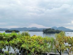 -楼外楼(西湖景区孤山路店)