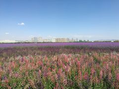 -赛汗塔拉风情园