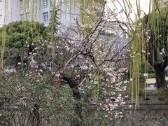 -兰溪青年公园