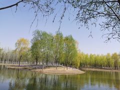 -东郊湿地公园