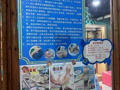 -上海大自然野生昆虫馆(东方明珠·爬宠昆虫探索中心)