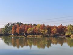 -梁鸿国家湿地公园