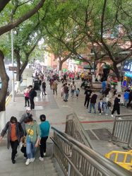 -重庆医科大学附属儿童医院(渝中院区)