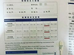 -芭比堂宠物医院·全科爱猫医院·仁德分院