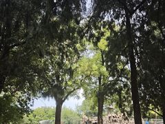 -保定市动物园