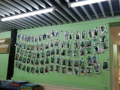 -学知乐教育·幼小衔接·小学科辅导(嘉定镇校区)