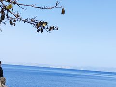 -抚仙湖禄充风景区