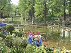 -祥源·阜阳生态乐园