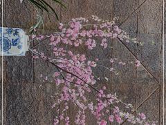-泓0871臻选云南菜·味庄