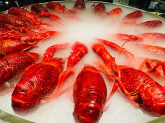 -红盔甲·小龙虾(天钥桥店)