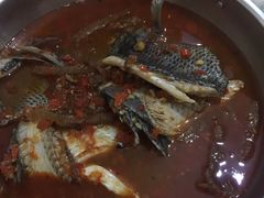 -风鑫铃罗非鱼(道沟店)