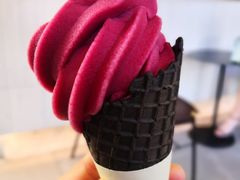 冰山杨梅脆筒-喜茶(上海正大广场店)