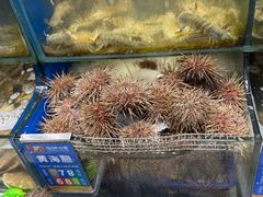 -海味当家·蒸锅海鲜(中山广场创始店)