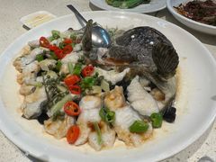 鲜花椒蒸龙趸鱼-任兴记(定西路店)