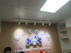 -康成宠物医院24H·CT·核磁共振