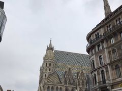 -斯蒂芬主教座堂(Stephansdom)