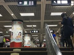 -大望路(地铁站)