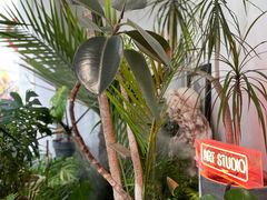 -甲乙果 美术书法(通州校区)