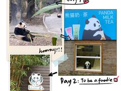 -成都大熊猫繁育研究基地