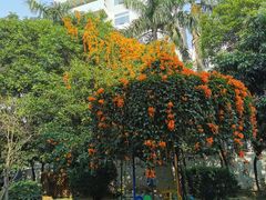 -福州淑佩小金星幼儿园