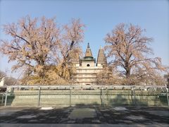 -北京石刻艺术博物馆(五塔寺)