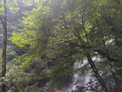 -黎坪国家森林公园