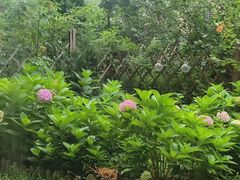 -清风小镇闯关东影视基地