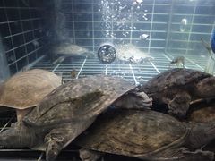 -老海陵·泰州菜(图书馆店)