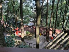 -巴倒烫陆派火锅山庄(南山总店)
