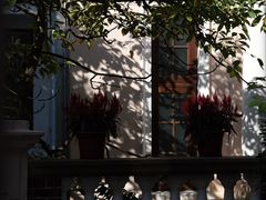 -香港大学