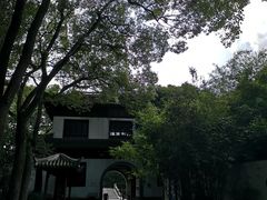 -汇龙潭