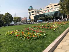 -复旦大学本部-食堂