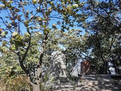 -帽儿山国家森林公园