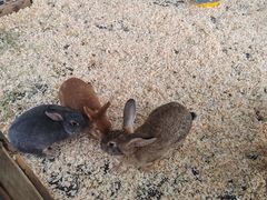 -HERRE·FARM 赫尔露营农场·团建聚会包场