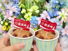 -苏小糖(鼓浪屿三丘田花园店)