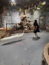 -Zoolung Zoolung动物主题公园(海信广场店)