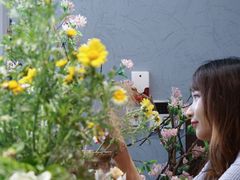 -卓花境Flowerwonderland花店