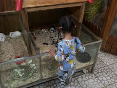 -上海大自然野生昆虫馆(东方明珠·爬宠昆虫探索中心)