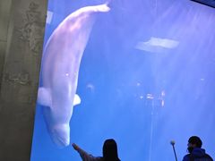 -大连圣亚海洋世界