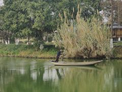 -三垟湿地