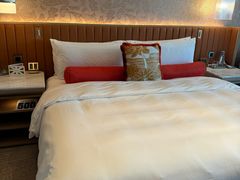 -新加坡文华东方酒店