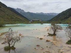 -黄龙山原始森林景区