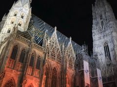 -斯蒂芬主教座堂(Stephansdom)