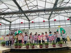 -圣德美艺术双语幼稚园