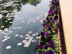 -门城湖公园