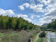 -宁波浙东大竹海景区